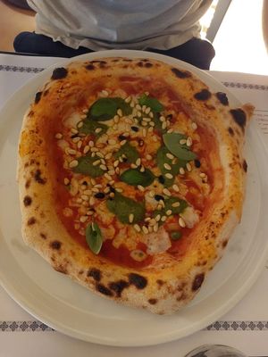  at Plant A Pizza in Ghent