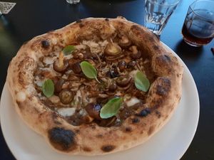 at Plant A Pizza in Ghent