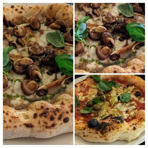  at Plant A Pizza in Ghent