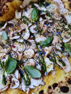 Pizza butternut blue cheese at Plant A Pizza in Ghent