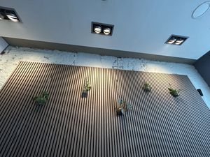   at Plant A Pizza in Ghent