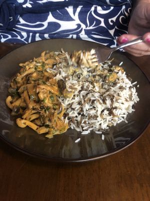 Mushroom Stroganoff  at The Purple Robot in Hull