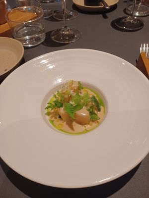  at De Nieuwe Winkel in Nijmegen