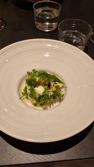  at De Nieuwe Winkel in Nijmegen