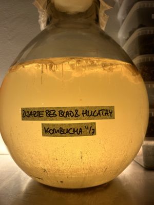   at De Nieuwe Winkel in Nijmegen