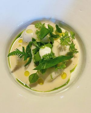   at De Nieuwe Winkel in Nijmegen