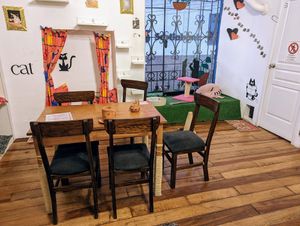 Part of the cat seating area. Cost 5 soles extra to sit in here with the cats as of October 2022. at Catfetín in Cusco