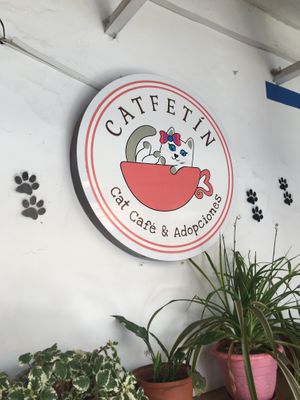  at Catfetín in Cusco