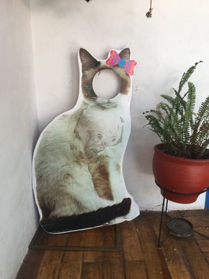  at Catfetín in Cusco