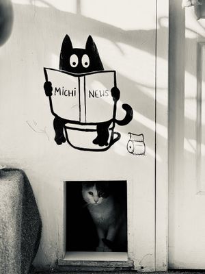   at Catfetín in Cusco