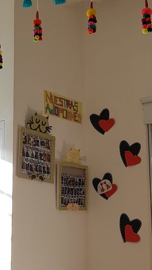 Adoptions at Catfetín in Cusco