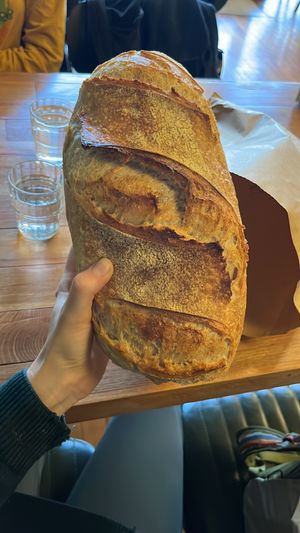 sourdough  at Morning Magpie - Maggie's in Dunedin