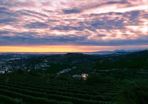 View at Bistró del Borgo in San Giorgio Di Valpolicella