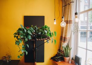 Downstairs at Het Koffiepand in Middelburg