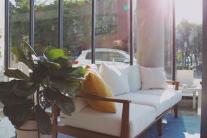 Window hangs on the couch at Happy Day Juice - Northeast in Portland