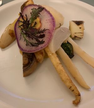 Starter at Boompjes in Boxmeer