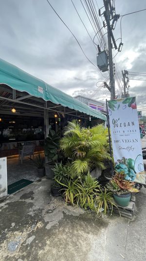   at Go Vegan Cafe in Phuket