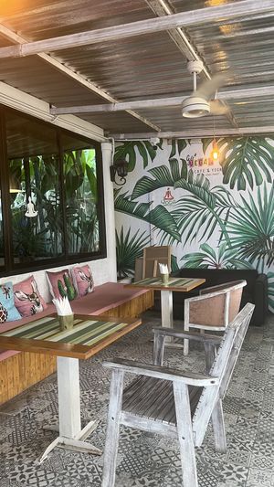   at Go Vegan Cafe in Phuket