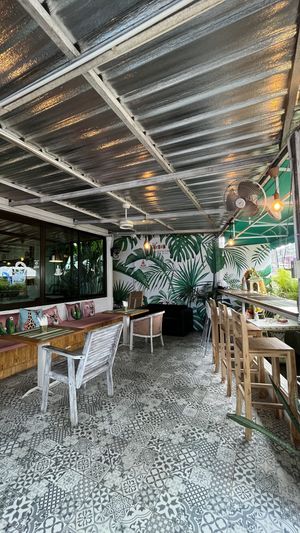   at Go Vegan Cafe in Phuket