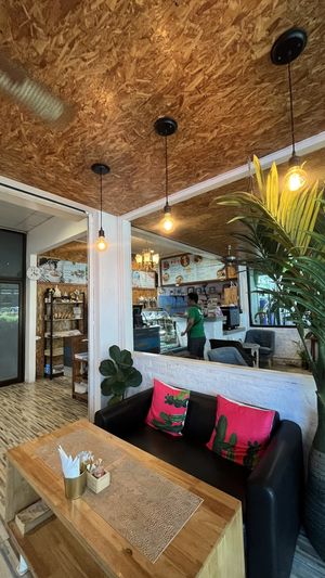   at Go Vegan Cafe in Phuket