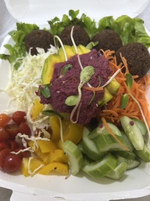   at Go Vegan Cafe in Phuket