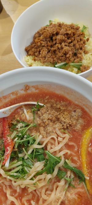 Vegan ramen set meal A at Fuku Noki in Sapporo