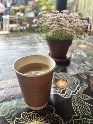 Oat latte  at The Wildflour Cafe in Brighton