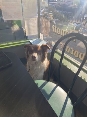   at VBurger in Long Beach