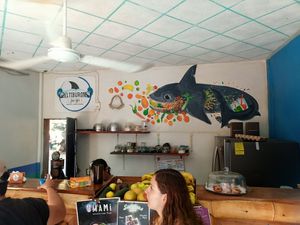  at El Tiburon in Mazunte