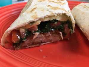 Vegans Wrap Too close up at Hartland Diner  in Hartland