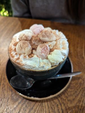 Hot chocolate with vegan cream and vegan marshmallows at The Greenhouse in Fleet