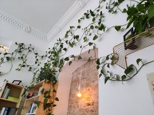 Decoration at Plant Base in Berlin