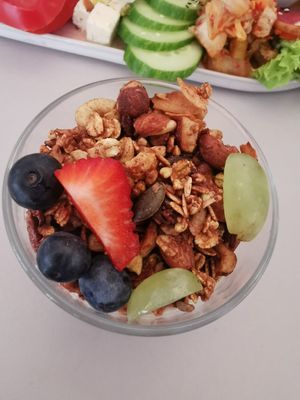  at Plant Base in Berlin