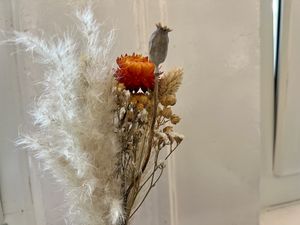 deco  at Plant Base in Berlin