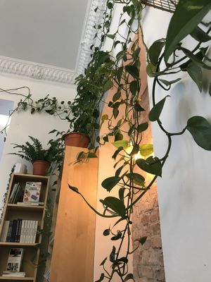   at Plant Base in Berlin