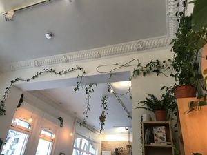   at Plant Base in Berlin