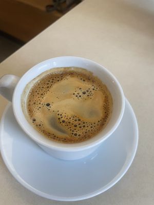   at Plant Base in Berlin