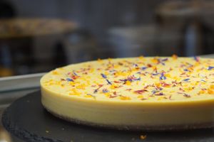 Cake at Plant Base in Berlin