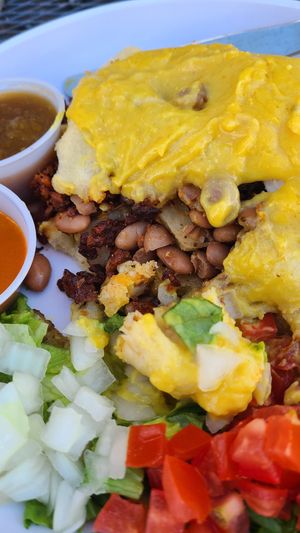 Sopapilla with seitan at Vegos in Albuquerque