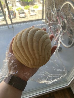 Concha at Vegos in Albuquerque