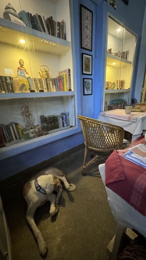 Inside cafe  at Sparrow Cafe in Varanasi