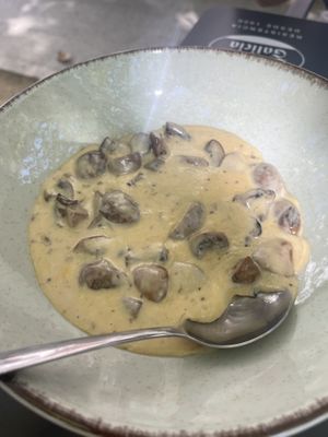   at Portovello in Ourense