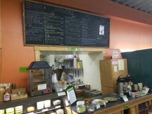 the Cafe at Durango Natural Foods in Durango