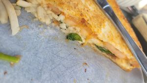 Toastie part 2 at Lure Living in Yeppoon