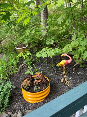 Outdoor lawn ornaments at Treehouse Taqueria in Ogunquit