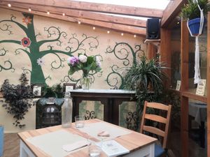 Terraza at Dorothy's Veggie Bistro in La Cueva