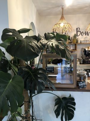   at Bali Bowls 2 in Biarritz