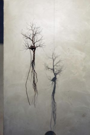 Treehouse dream  at TREEHOUSE - H Code in Hong Kong Island