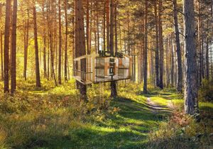 Bringing Nature to you at TREEHOUSE - H Code in Hong Kong Island