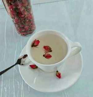 Tea at CV Cafe in Kampot